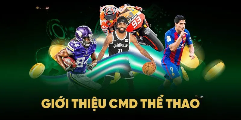 Giới thiệu trang cá cược thể thao CMD